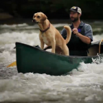 Take a look at the French Broad Paddle Trail