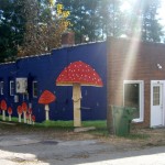Asheville Fungi in West Asheville: It’s open!