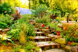 urban_farm_school_2013