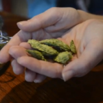 Beer Guy video: Asheville Pizza allows drinkers to dunk your own hops