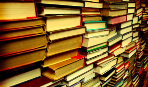 books_2013