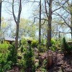 Photos: The enchanting West Asheville gardens of Wamboldtopia