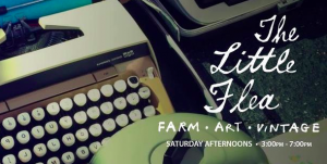 Little Flea returns Saturday on Haywood Road in West Asheville